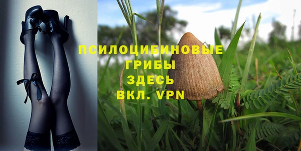 apvp Зеленодольск