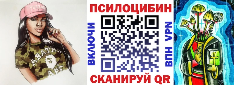 Купить  Каменногорск  Галлюциногенные грибы Psilocybe 