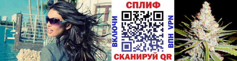Канабис MAZAR  Купить где  Каменногорск 